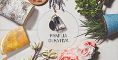 Familia Olfativa Perfumes Importados