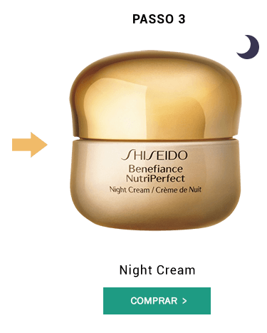 Antienvelhecimento Shiseido Benefiance Nutriperfect Night Cream